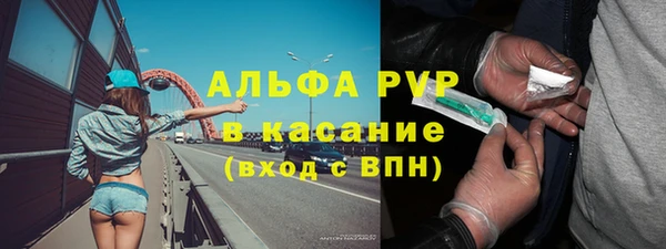 стаф Алексин