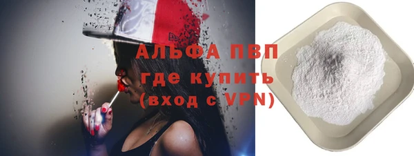 стаф Алексин