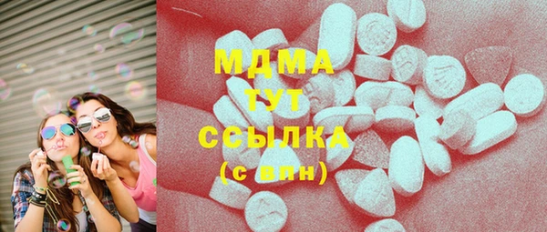 стаф Алексин