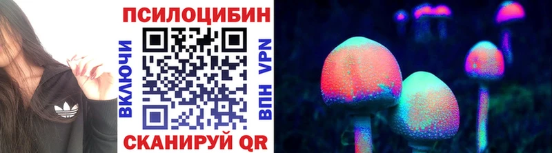 купить   Сосновка  hydra вход  Галлюциногенные грибы ЛСД 